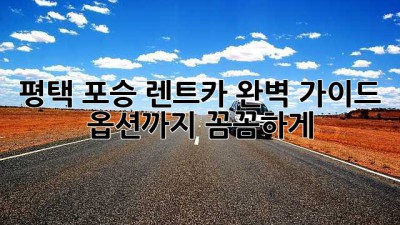평택 포승 렌트카 완벽 가이드 🚗💨 옵션까지 꼼꼼하게!